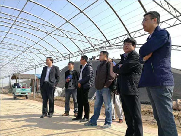 Secretary Gao, Secretary of Chaihu, Ningjin County, came to our company to inspect high -efficiency agriculture