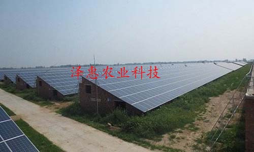 Photovoltaic agriculture