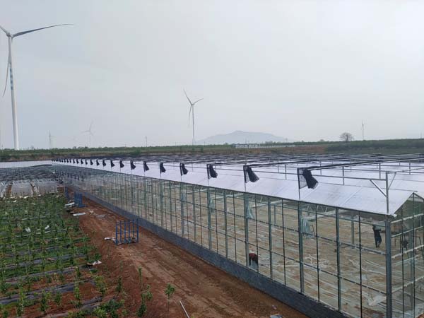 Multi-span polycarbonate greenhouse