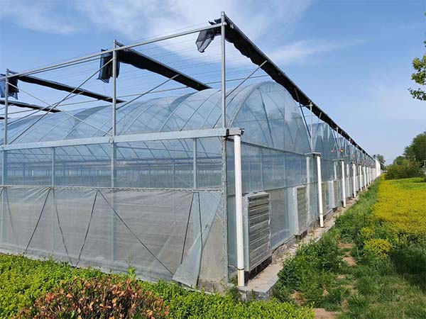 Multi-span fiml greenhouse