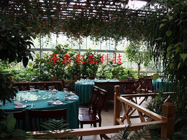 Ecological restaurant